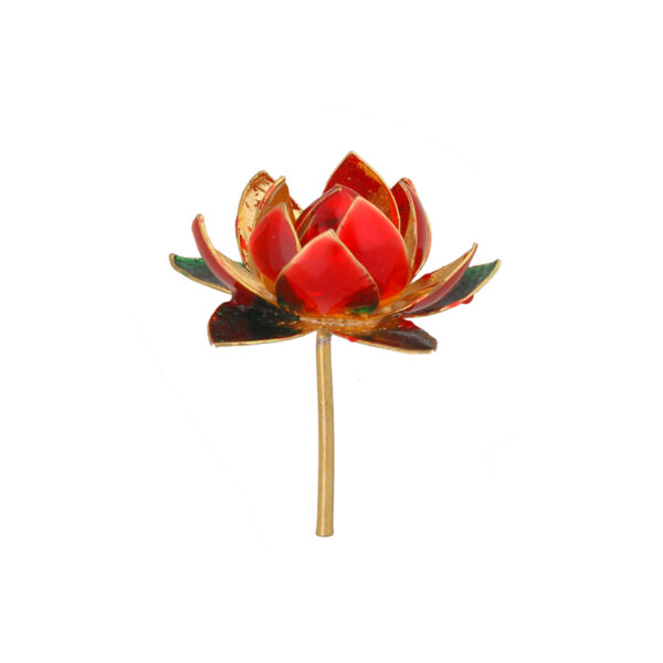 Lotus Silver Flower