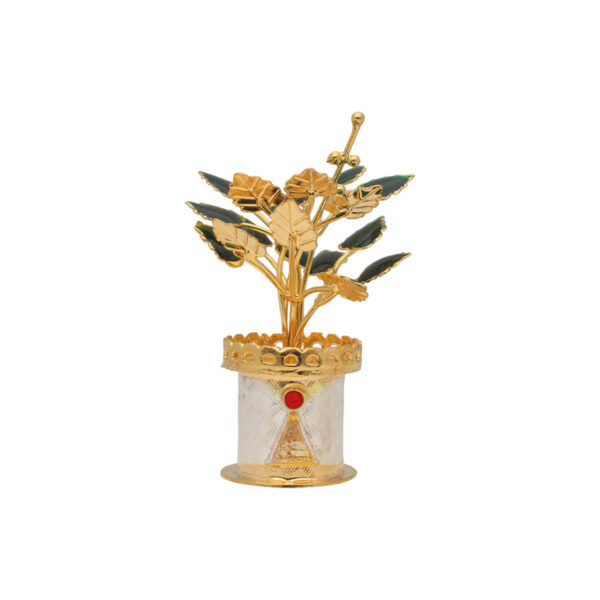 Silver Tulsi Plant