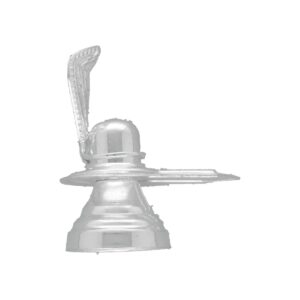 Shivling Silver Idol for Pooja